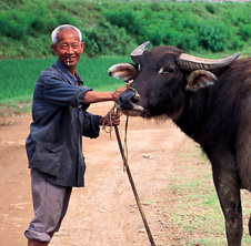 小型飼料顆粒機,農(nóng)民圓夢！